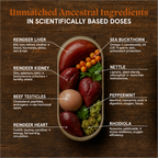 Primal Testosterone Booster