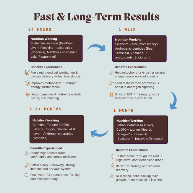 Primal Testosterone Booster